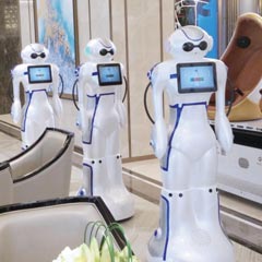  Embedded System Board used in Robot 